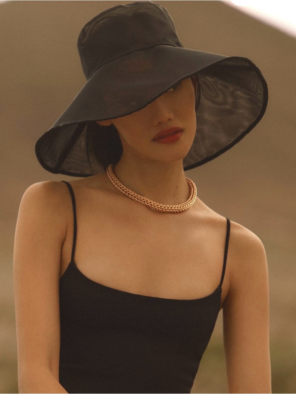 Anthropologie Black Tulle Hat